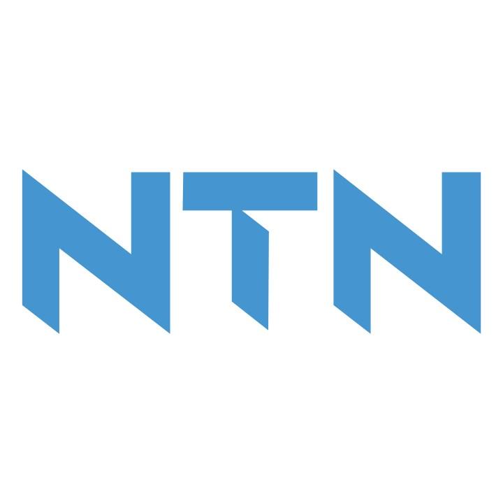 brand-NTN