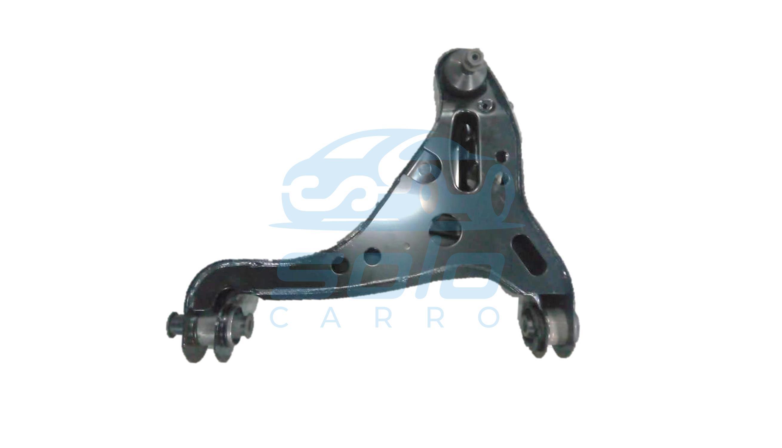 Meseta Delantero Inferior Derecho-2