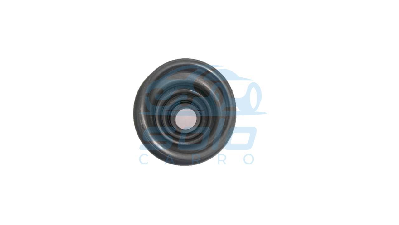 GOMA COPA CAJA-1