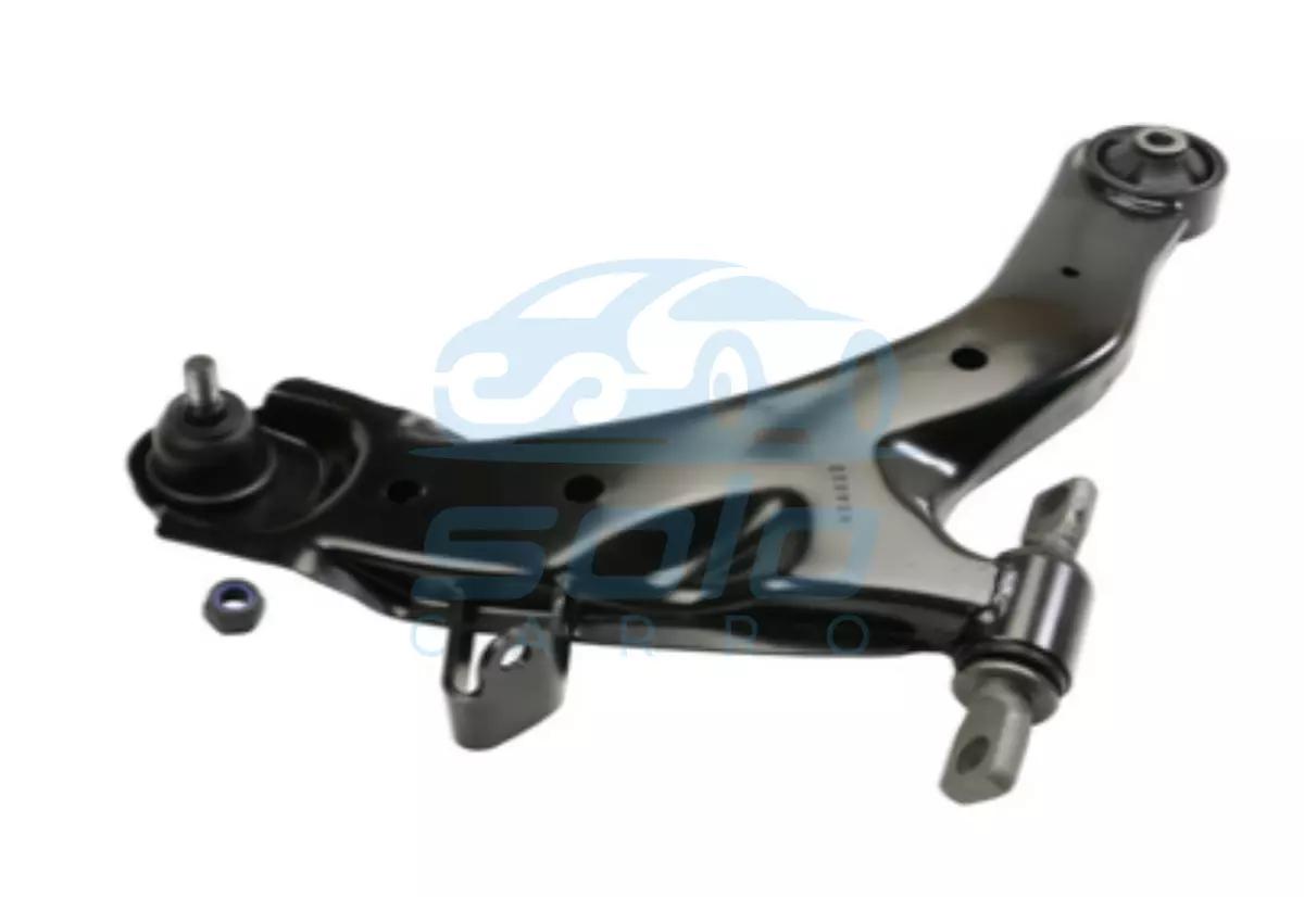 Meseta Delantero Inferior Derecho