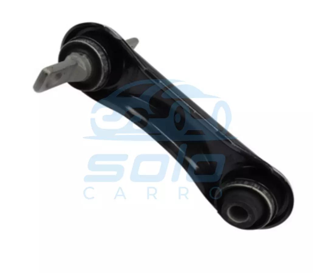 Meseta Trasero Inferior Izquierdo Corta