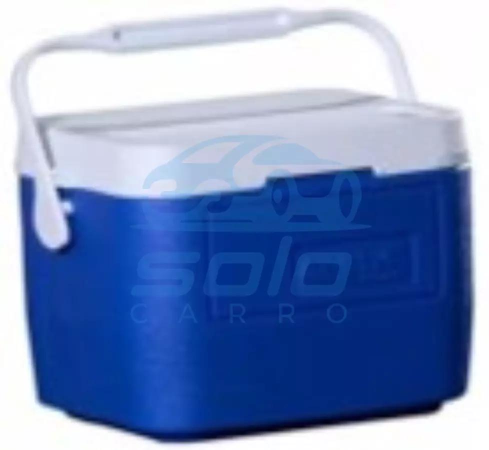 Cava Artico Americana 30.5 x 23 x 23 (Colores Surtidos) de 5.7 Lts 