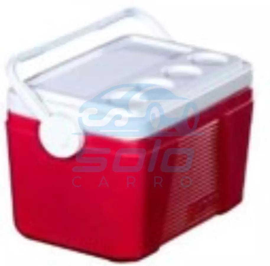 Cava Artico Personal 42.5 x 31 x 32 (Colores Surtidos) de 19 Lts 