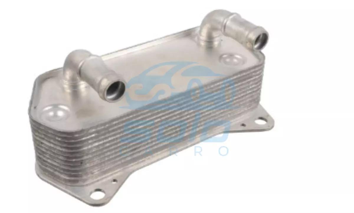 Serpentin de Caja-serpentin-de-caja-volkswagen-golf-2005-2005-febi-bilstein